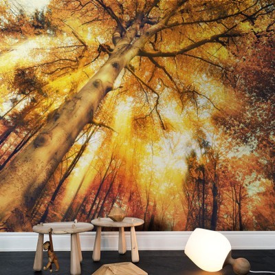 Γοητευτικό δάσος Φύση Ταπετσαρίες Τοίχου 82 x 123 cm (20853)