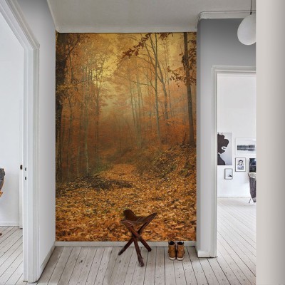 Μουντό Φθινοπωρινό Δάσος, Φύση, Ταπετσαρίες Τοίχου, 100 x 149 εκ.
