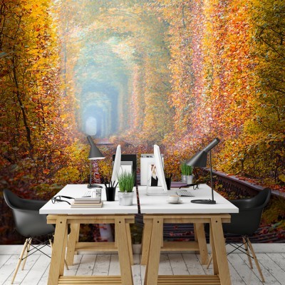 Μονοπάτι σε Ηλιόλουστο Δάσος, Φύση, Ταπετσαρίες Τοίχου, 100 x 152 εκ.