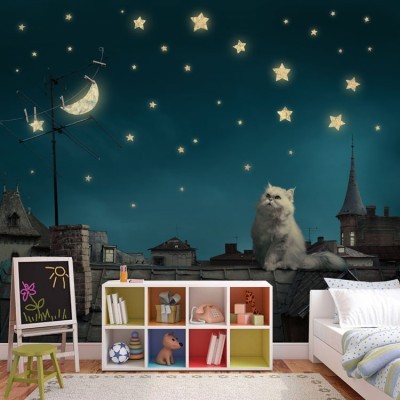 Γάτος την νύχτα, Παιδικά, Ταπετσαρίες Τοίχου, 100 x 100 εκ.