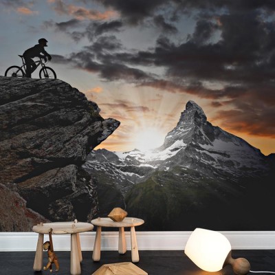 Ποδηλάτης στις Ελβετικές Άλπεις Σπορ Ταπετσαρίες Τοίχου 94 x 110 cm (21614)
