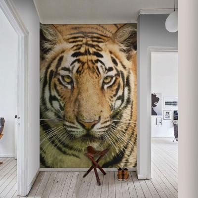 Βασιλική τίγρης της Βεγγάλης Ζώα Ταπετσαρίες Τοίχου 110 x 80 cm (21360)