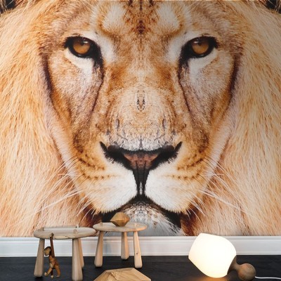 Λιοντάρι Ζώα Ταπετσαρίες Τοίχου 108 x 95 cm (21362)