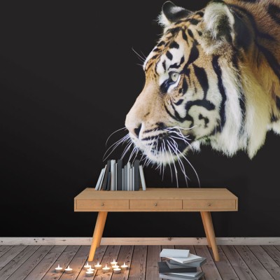 Τίγρη Σουμάτρας Ζώα Ταπετσαρίες Τοίχου 107 x 90 cm (21366)