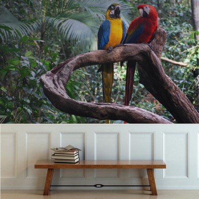 Είδος παπαγάλου Ζώα Ταπετσαρίες Τοίχου 80 x 120 cm (21367)