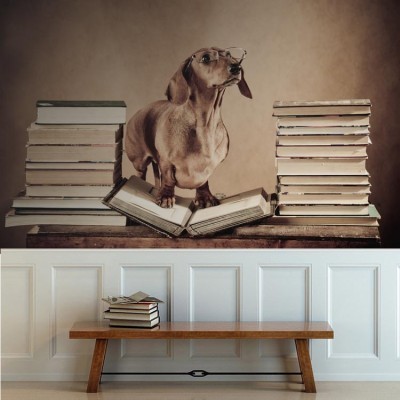 Σκύλος καθηγητής Ζώα Ταπετσαρίες Τοίχου 79 x 120 cm (21370)
