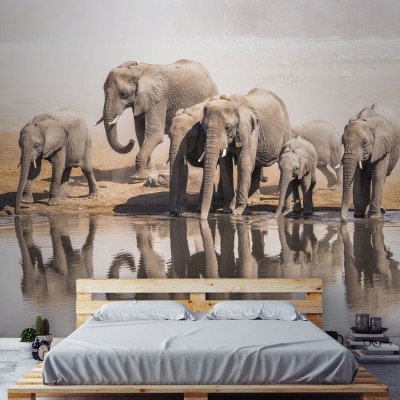Οικογένεια των ελεφάντων Ζώα Ταπετσαρίες Τοίχου 82 x 123 cm (21382)