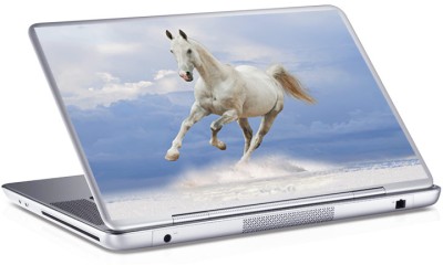 Άλογο Skins sticker Αυτοκόλλητα Laptop 8,9 Inches / 25X17 cm (7938)