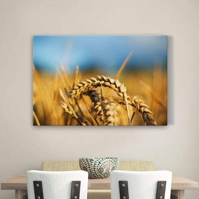 Στάχυα Φαγητό Πίνακες σε καμβά 40 x 60 cm