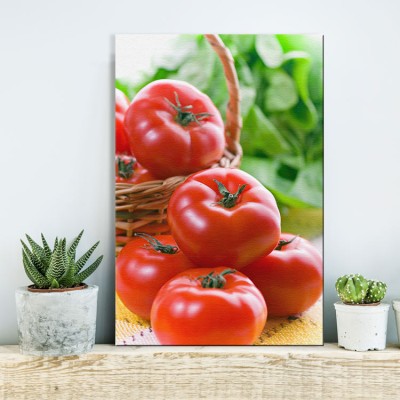 Κόκκινες ντομάτες Φαγητό Πίνακες σε καμβά 61 x 41 cm (16191)