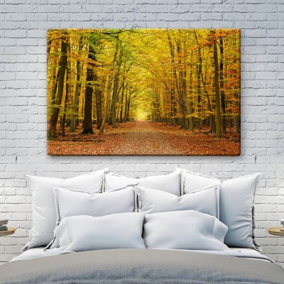 Φθινόπωρο Φύση Πίνακες σε καμβά 46 x 60 cm (12815)