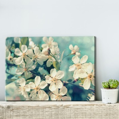 Λευκά άνθη κερασιάς Φύση Πίνακες σε καμβά 40 x 60 cm (10248)
