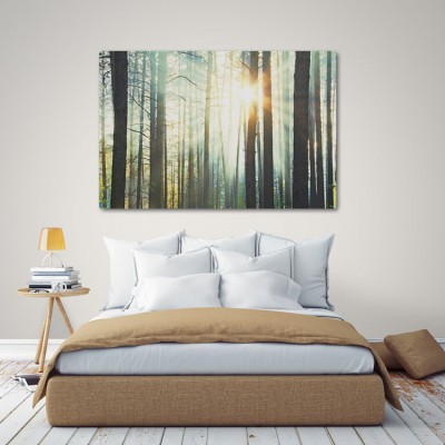Ηλιοβασίλεμα στο δάσος Φύση Πίνακες σε καμβά 40 x 60 cm (10141)