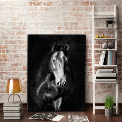 Μαύρο άλογο kladruby Ζώα Πίνακες σε καμβά 61 x 40 cm (10465)