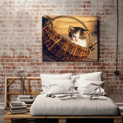 Χαριτωμένο γατάκι μέσα στο καλάθι Ζώα Πίνακες σε καμβά 49 x 50 cm (12724)