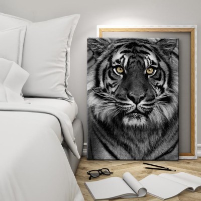 Μάτια τίγρης Ζώα Πίνακες σε καμβά 59 x 45 cm (10309)
