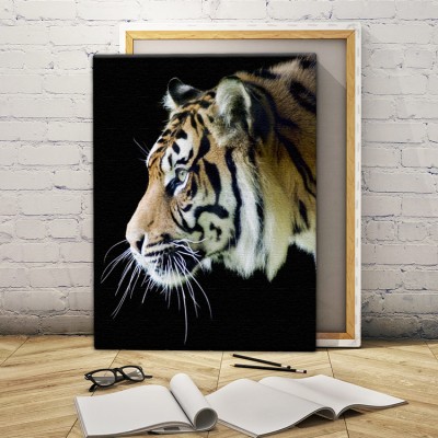 Τίγρης που κοιτάει Ζώα Πίνακες σε καμβά 54 x 45 cm (12735)