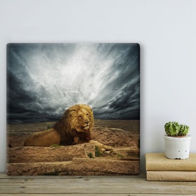 Λιοντάρι στην έρημο Ζώα Πίνακες σε καμβά 49 x 50 cm (10313)