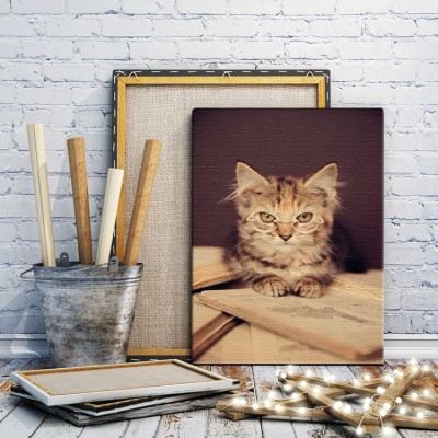 Γατάκι με γυαλιά διαβάζει βιβλίο Ζώα Πίνακες σε καμβά 61 x 40 cm (10320)