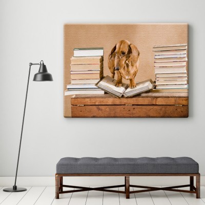 Σκύλος πάνω σε βιβλίο Ζώα Πίνακες σε καμβά 42 x 62 cm