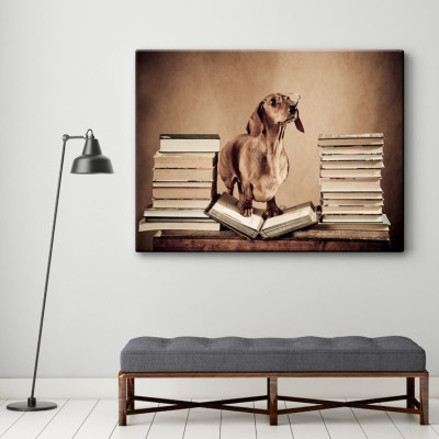 Σκύλος καθηγητής Ζώα Πίνακες σε καμβά 39 x 60 cm