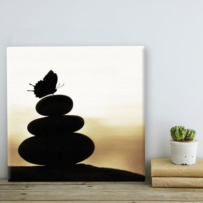 Ισορροπία Ζώα Πίνακες σε καμβά 53 x 50 cm
