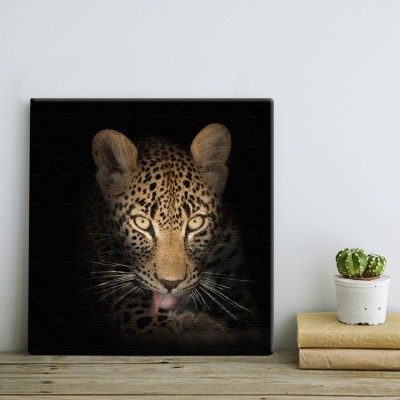 Λεοπάρδαλη Ζώα Πίνακες σε καμβά 52 x 49 cm (16043)