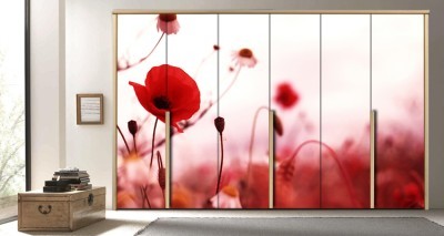 Κόκκινη παπαρούνα κόκκινο φόντο Φύση Αυτοκόλλητα ντουλάπας 65 x 185 cm (7813)