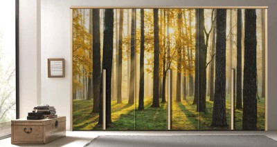 Κορμοί Δέντρων Φύση Αυτοκόλλητα ντουλάπας 65 x 185 cm (13146)