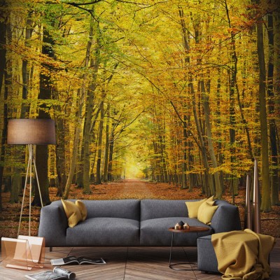 Φθινοπωρινό μονοπάτι Φύση Ταπετσαρίες Τοίχου 85 x 110 cm (20792)