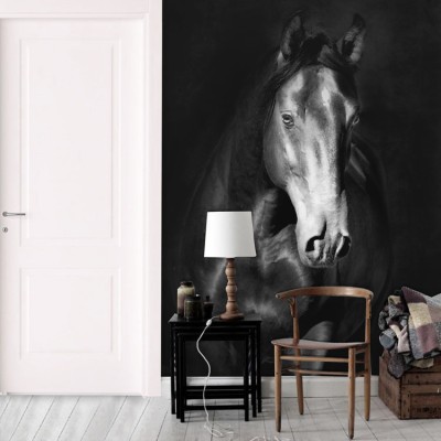 Μαύρο άλογο kladruby Ζώα Ταπετσαρίες Τοίχου 121 x 80 cm (21356)