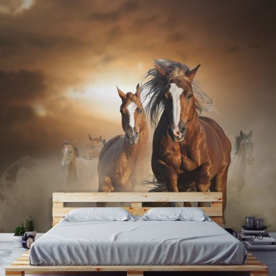 Άγρια άλογα Ζώα Ταπετσαρίες Τοίχου 100 x 100 cm (21381)
