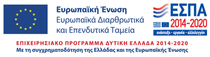 Σύγχρονη μεταποίηση στη Δυτική Ελλάδα